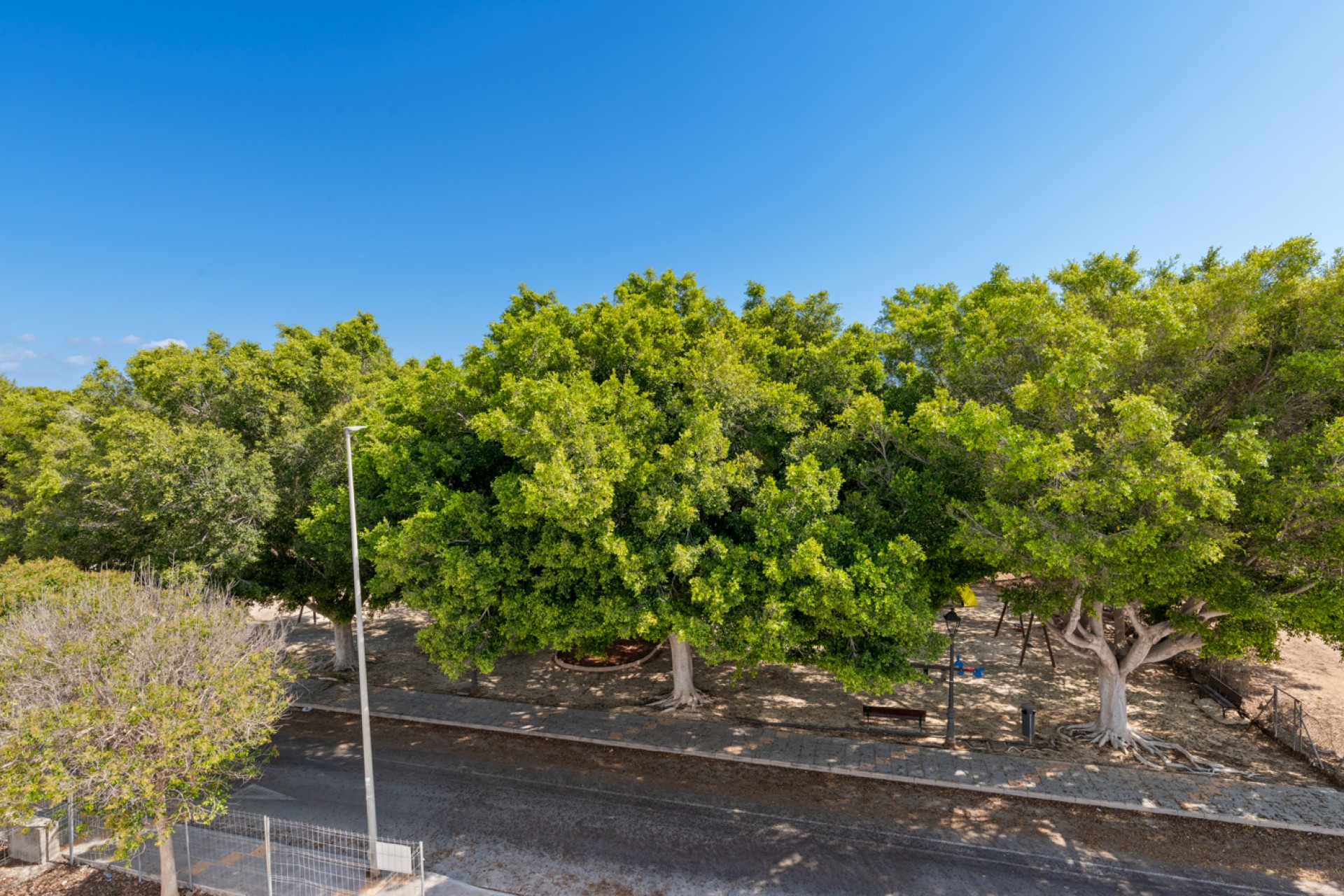 New build - detached -
Pilar de la Horadada