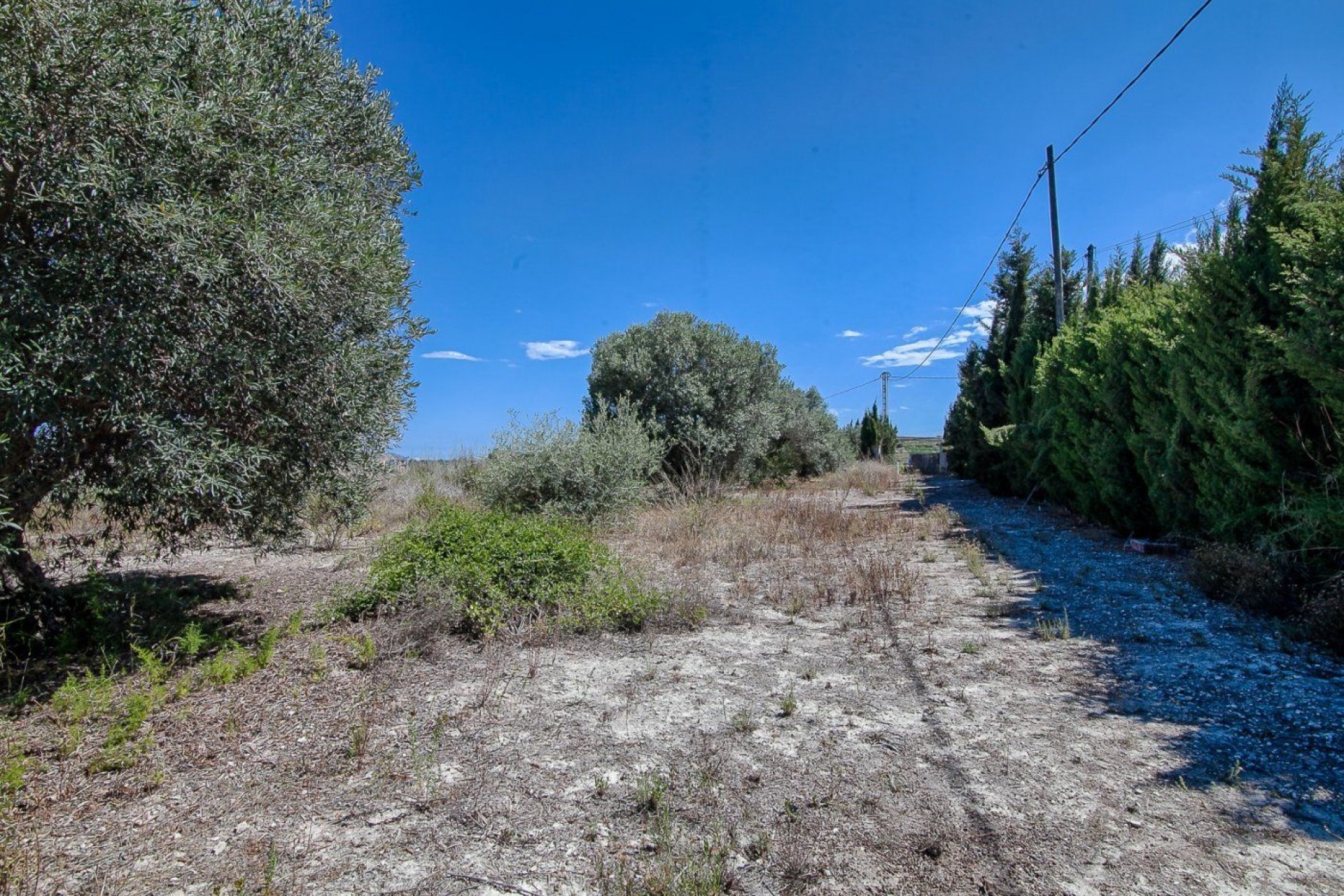 New build - Finca / Country Property -
Moraira