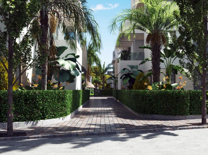 New build - ground-floor -
Torre-Pacheco