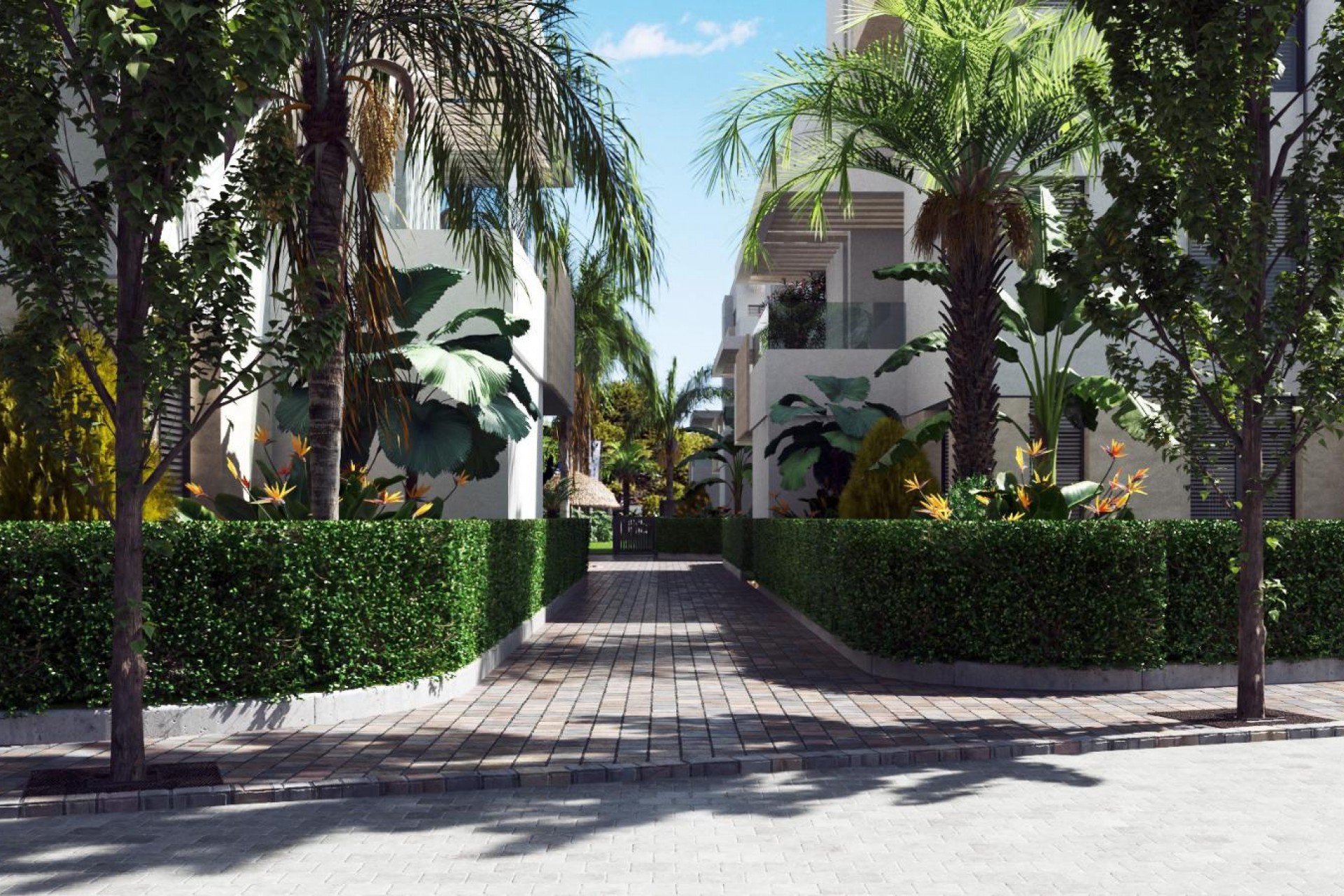 New build - ground-floor -
Torre-Pacheco