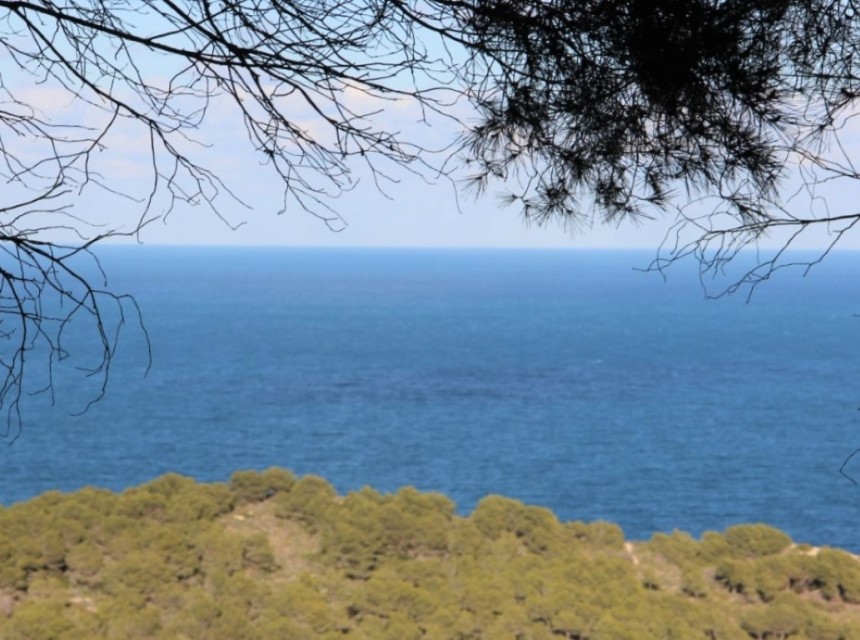 New build - Villa -
Javea