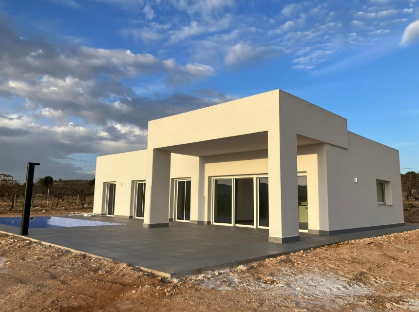 New build - Villa -
Pinoso