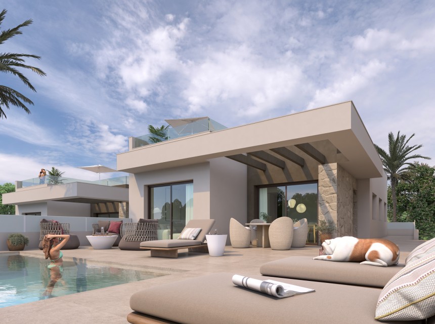 New build - Villa -
Rojales