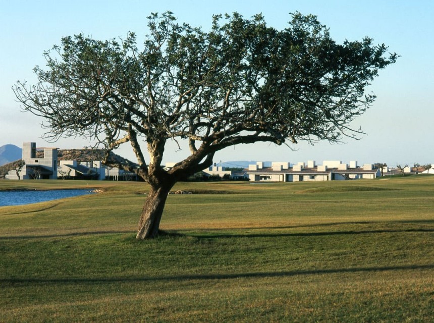 New build - Villa -
Sucina - Peraleja Golf