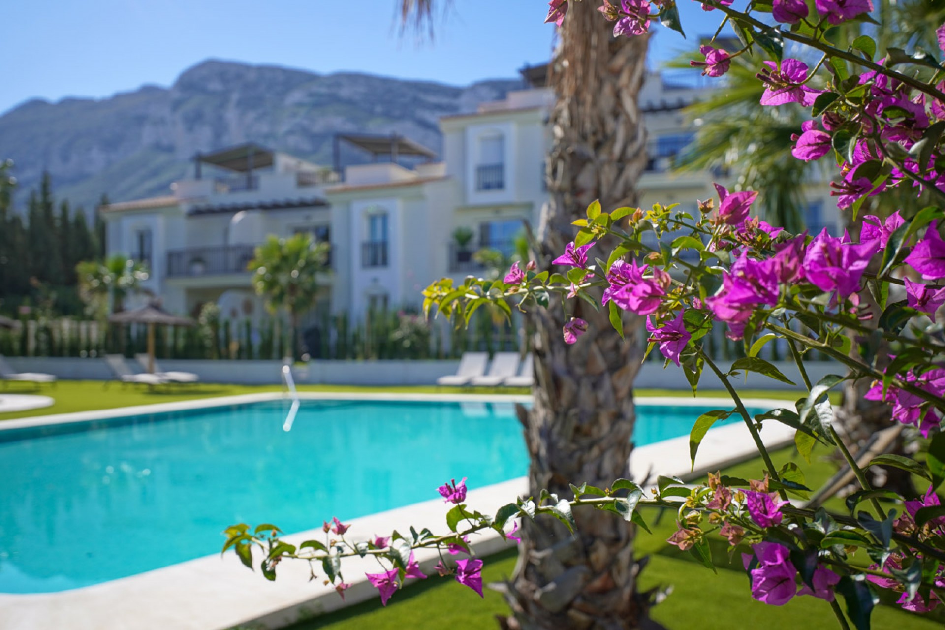 nieuwbouw - Appartement -
Denia