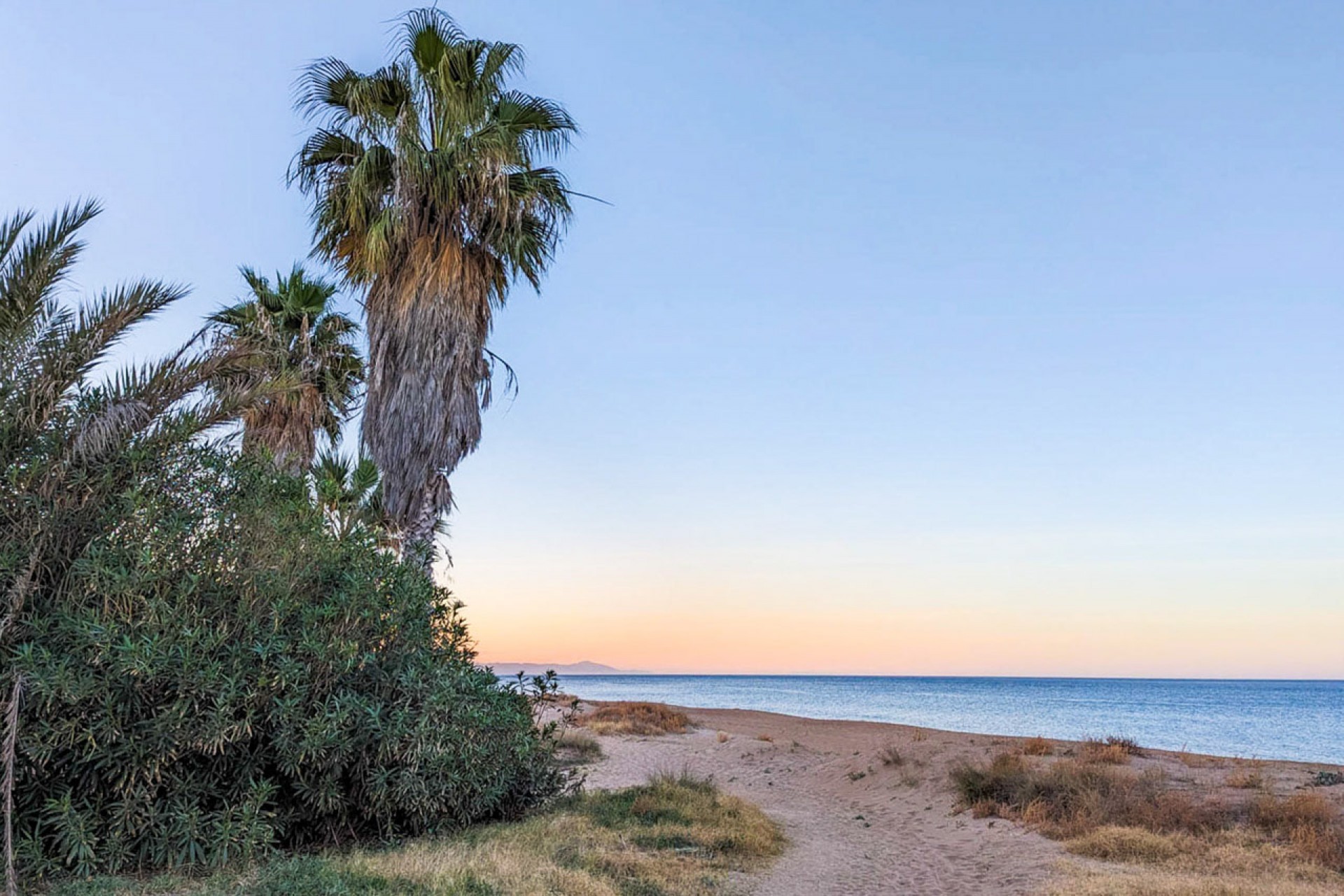 nieuwbouw - Appartement -
Denia
