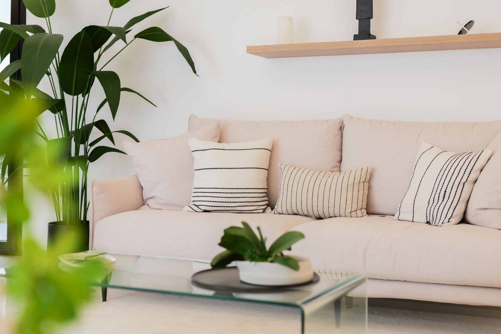 nieuwbouw -  -
Ciudad Quesada