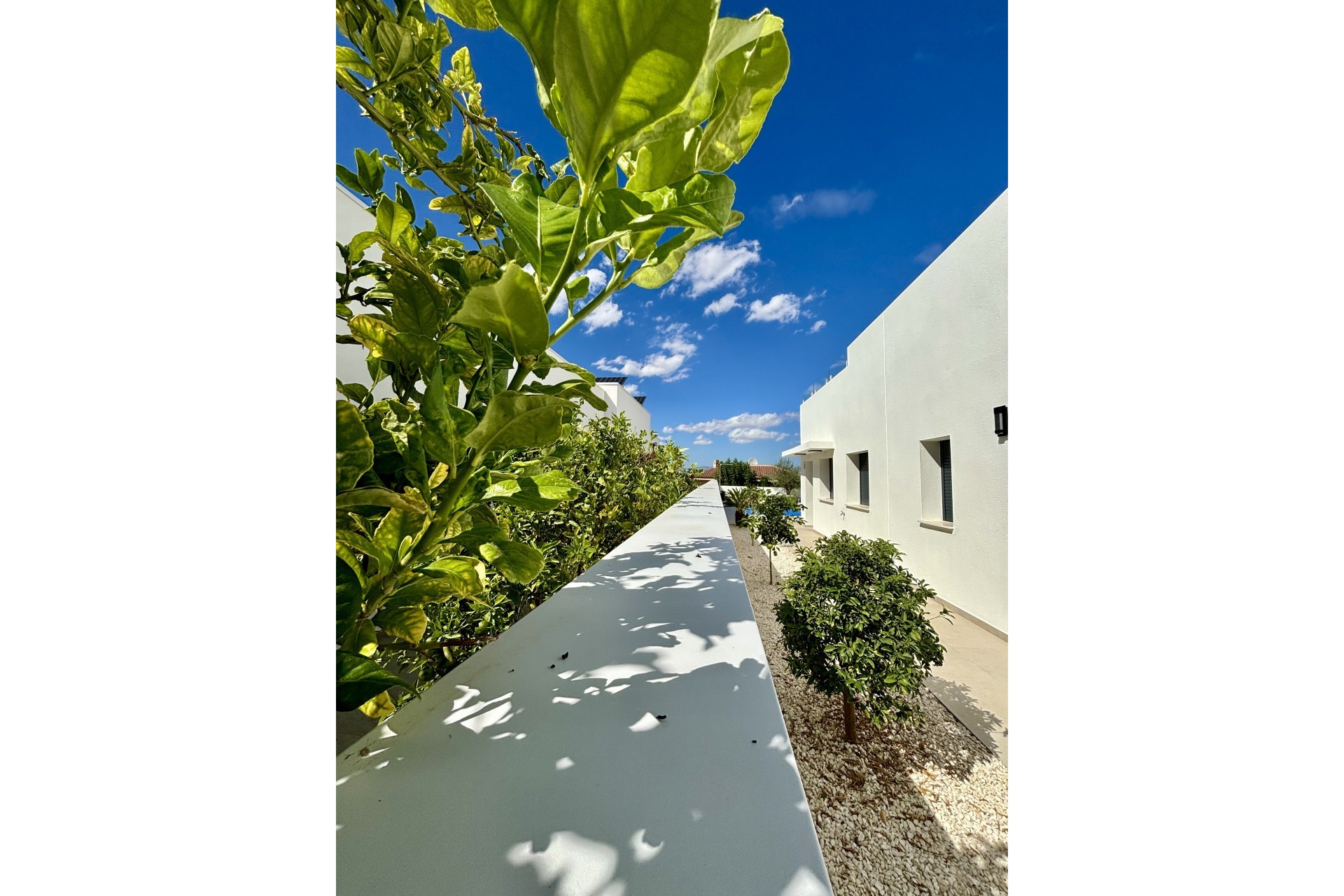 nieuwbouw - Villa -
Benijofar - Benijófar