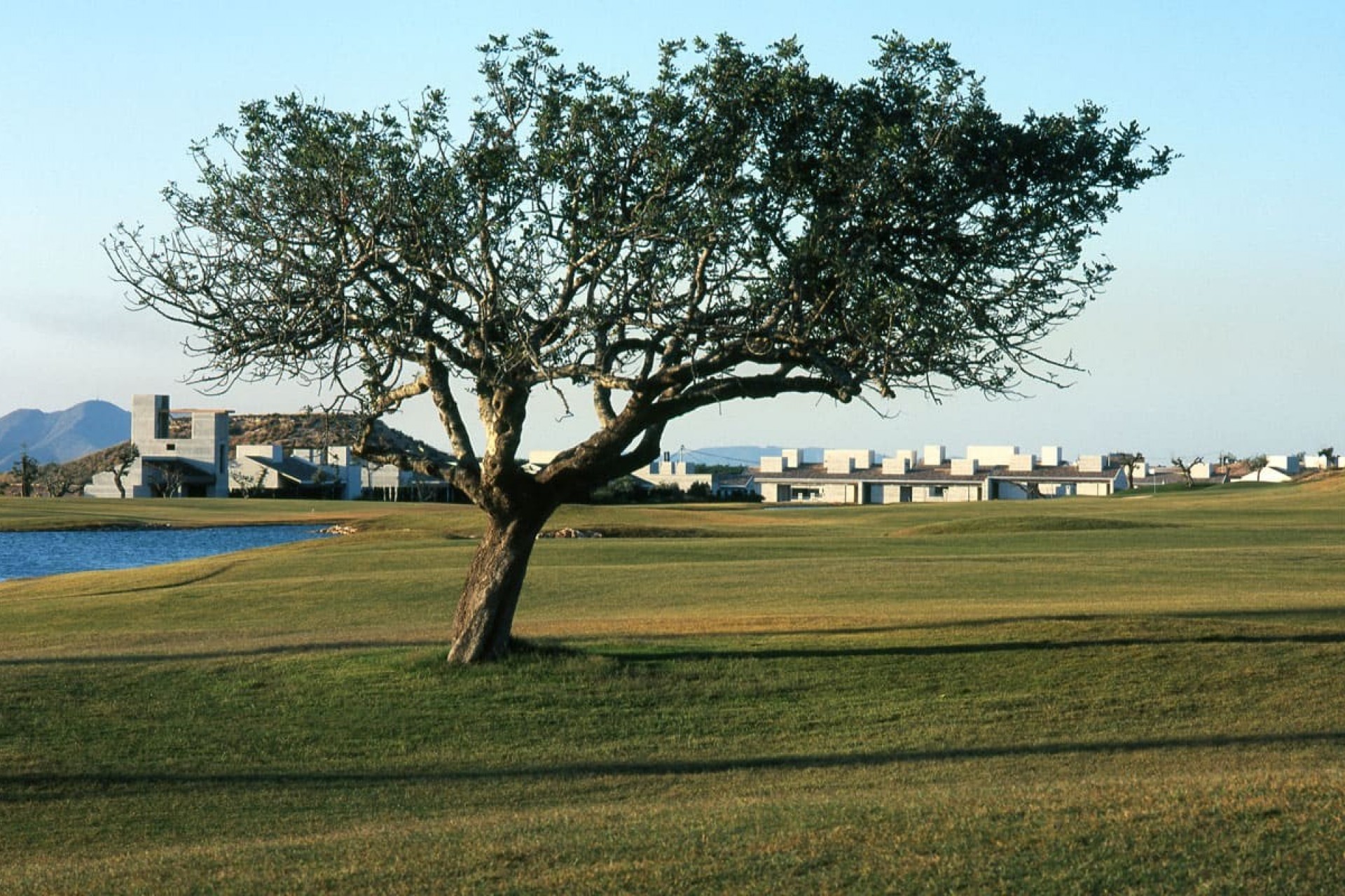 nieuwbouw - Villa -
Sucina - Peraleja Golf