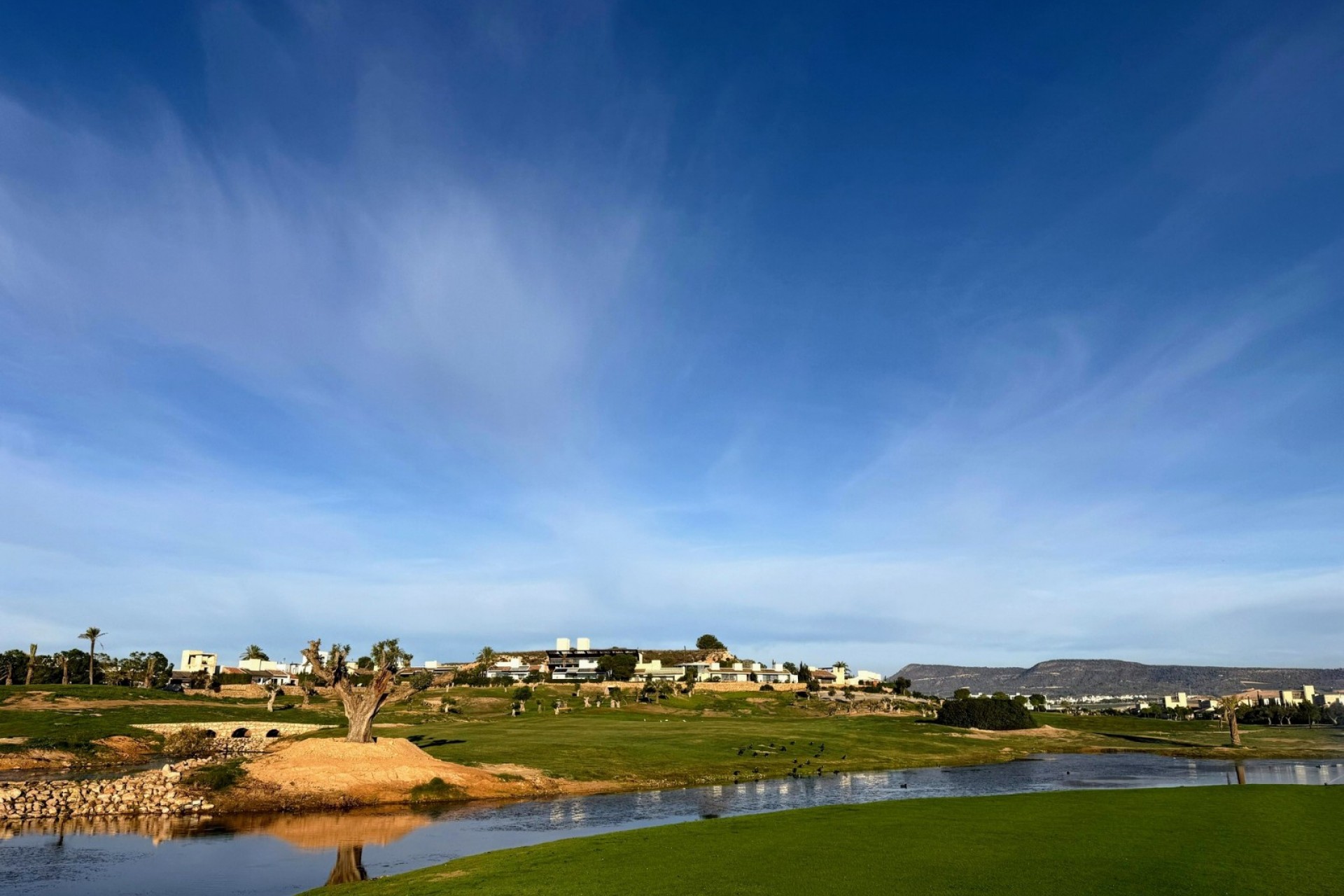 nieuwbouw - Villa -
Sucina - Peraleja Golf