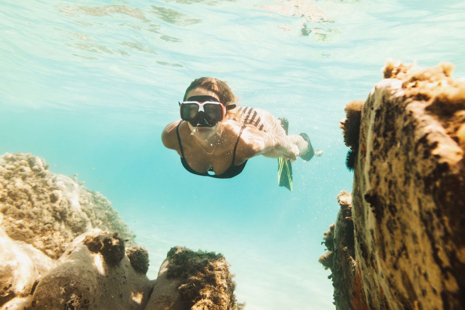 Nouvelle Construction - Appartment -
La Manga del Mar Menor