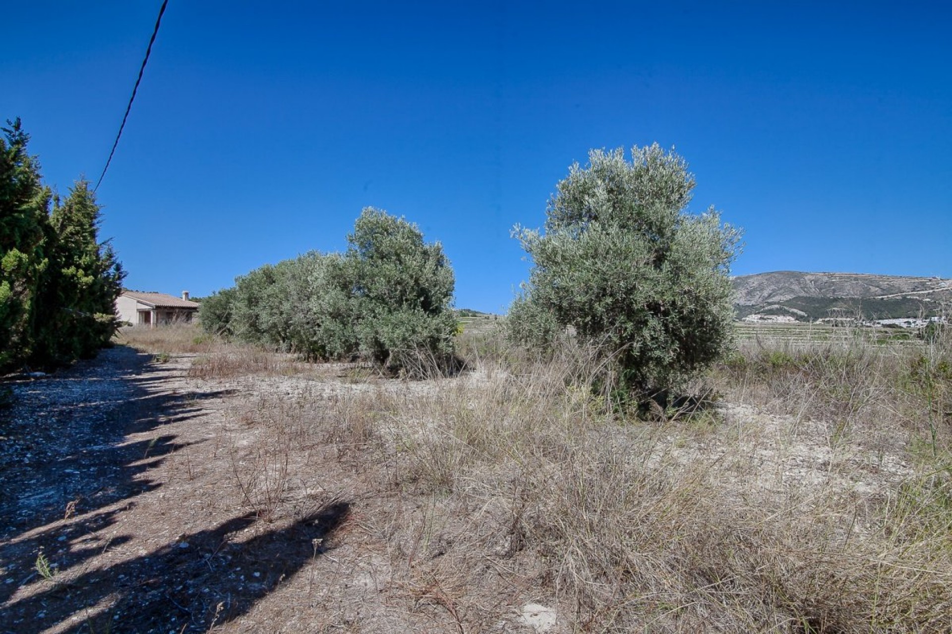 Nouvelle Construction - Finca / Propriété rurale -
Moraira