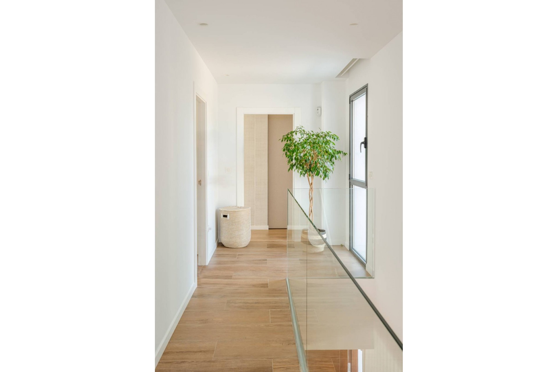 Nouvelle Construction -  -
Molina de Segura