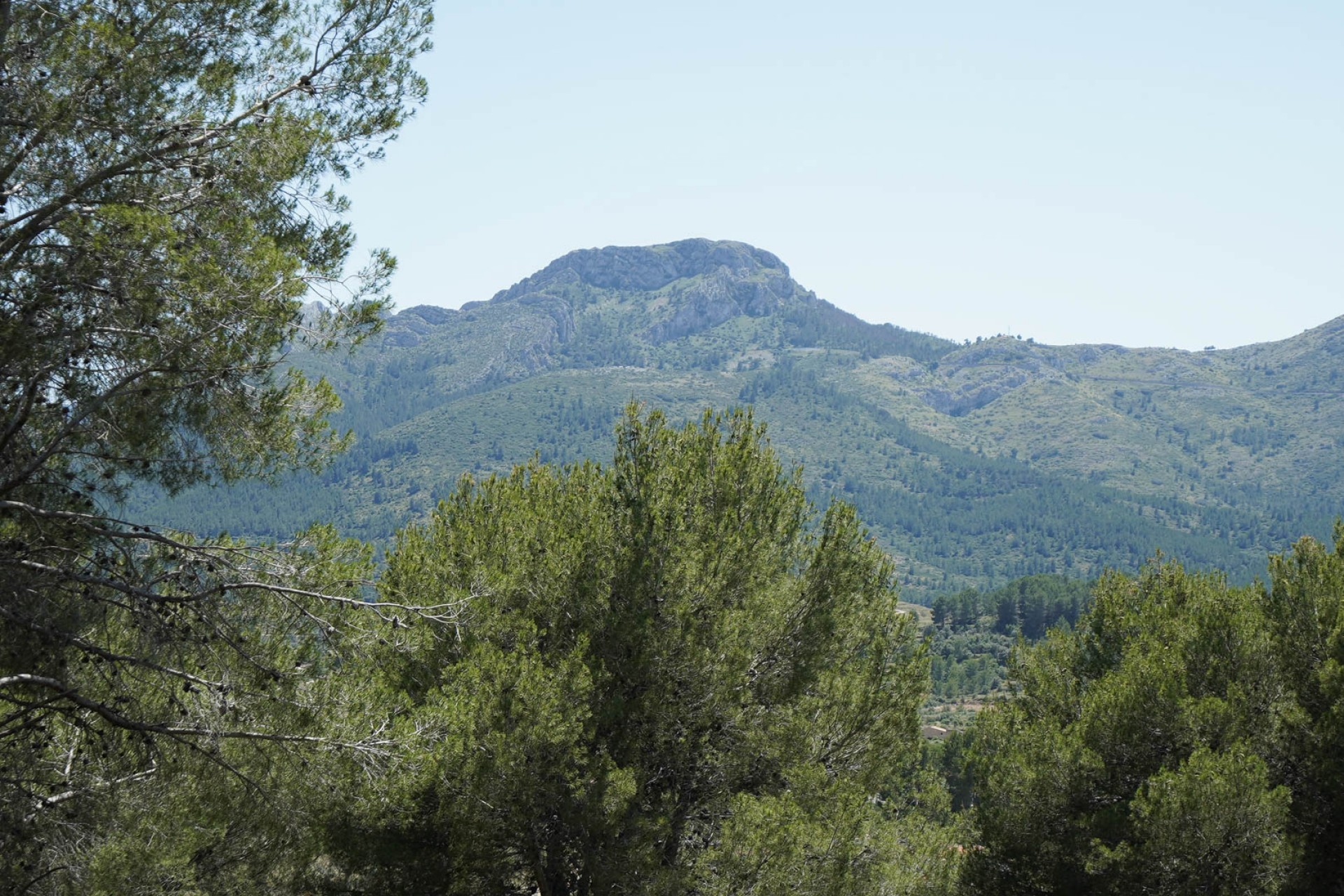 Nouvelle Construction - Villa -
Alcalali