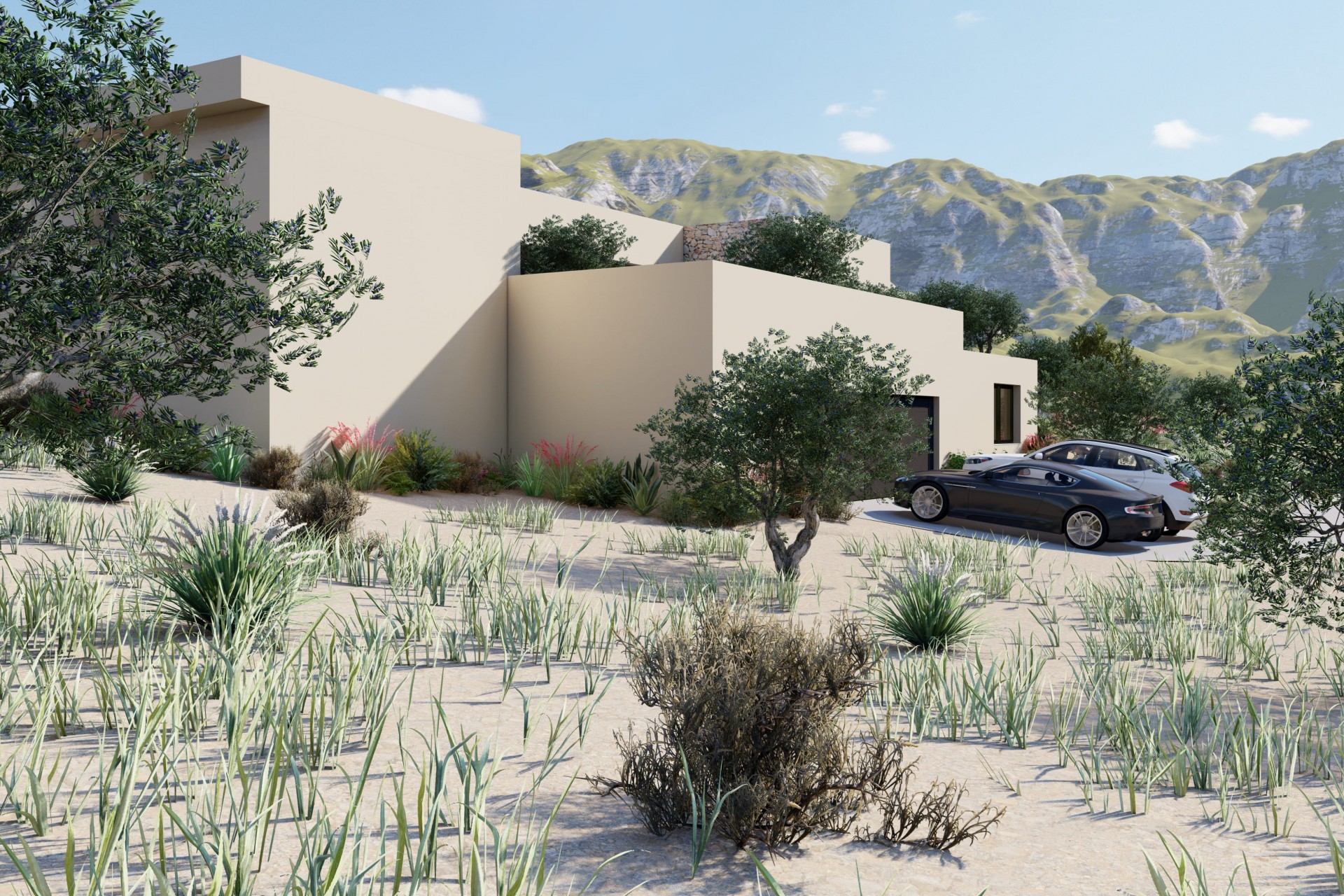 Nouvelle Construction -  -
Yecla