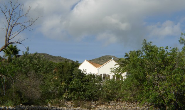 Perceel/land - Te koop - Jalon -
                Jalon