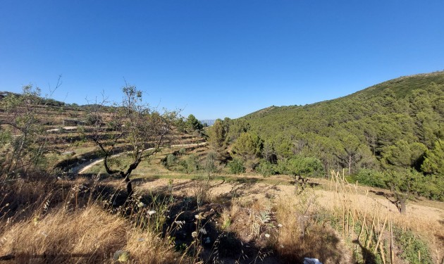 Perceel/land - Te koop - Jalon - Jalon