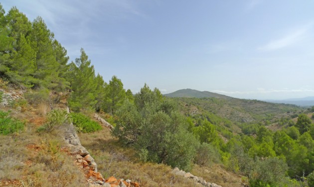 Perceel/land - Te koop - Jalon - Jalon