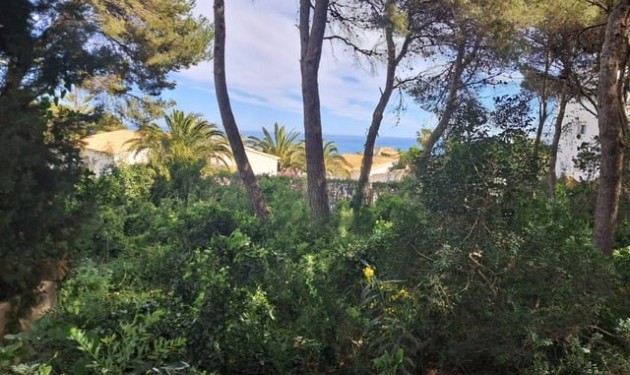 Perceel/land - Te koop - Javea -
                Javea