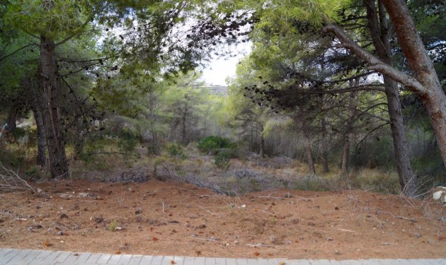 Perceel/land - Te koop - Moraira - CBMA-40980