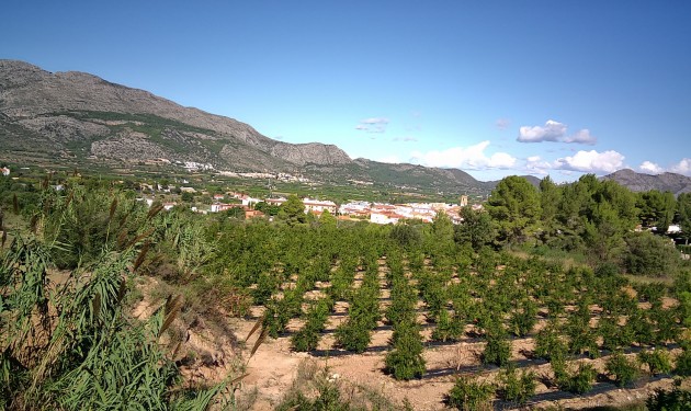 Perceel/land - Te koop - Orba - Orba