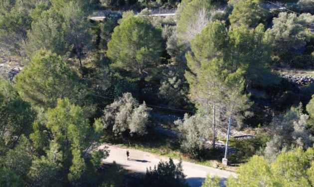 Perceel/land - Te koop - Orba -
                Orba