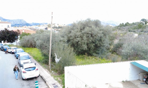 Perceel/land - Te koop - Orba -
                Orba