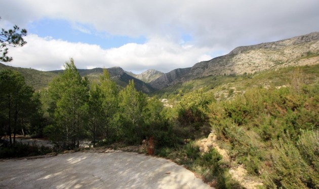 Perceel/land - Te koop - Pedreguer - Pedreguer