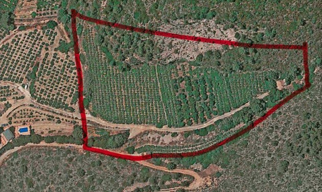 Perceel/land - Te koop - Pego -
                Pego