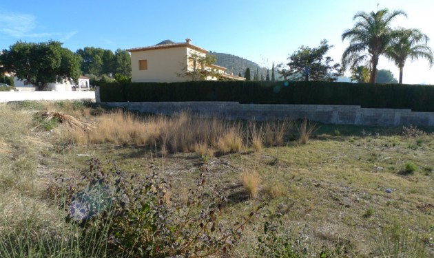 Plot/Land - Sale - Alcalali - Alcalali