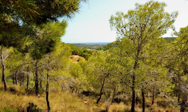Plot/Land - Sale - Altea - Altea