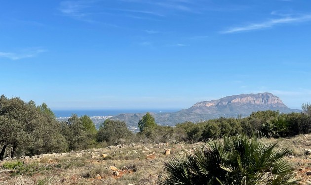 Plot/Land - Sale - Beniarbeig -
                Benidoleig