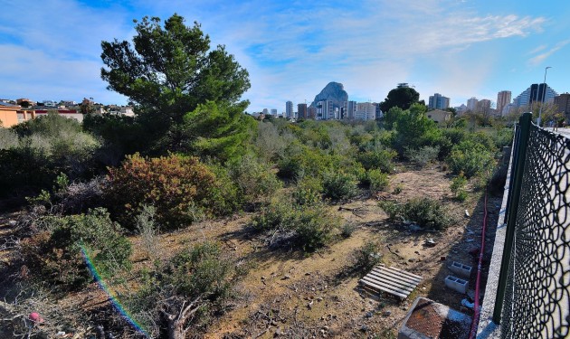 Plot/Land - Sale - Calpe -
                Pla Senieta