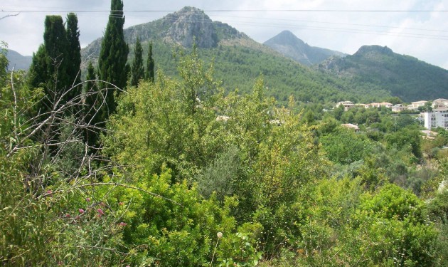 Plot/Land - Sale - Orba - Orba