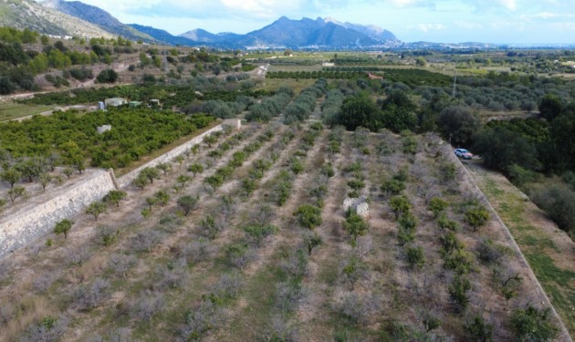 Plot/Land - Sale - Orba - Orba