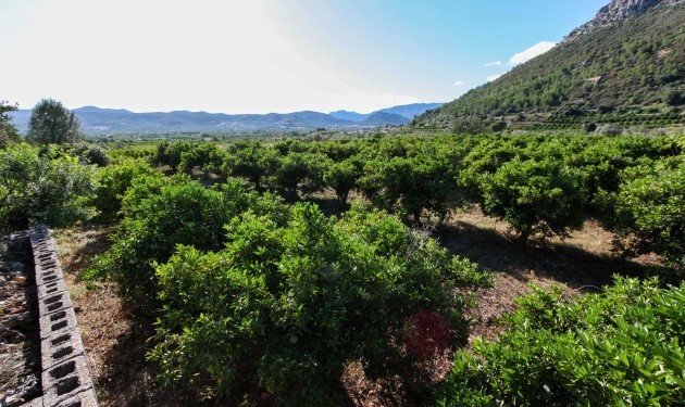 Plot/Land - Sale - Sagra - Sagra