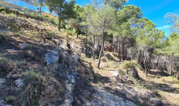 Plot - Sale - Calpe - Calpe