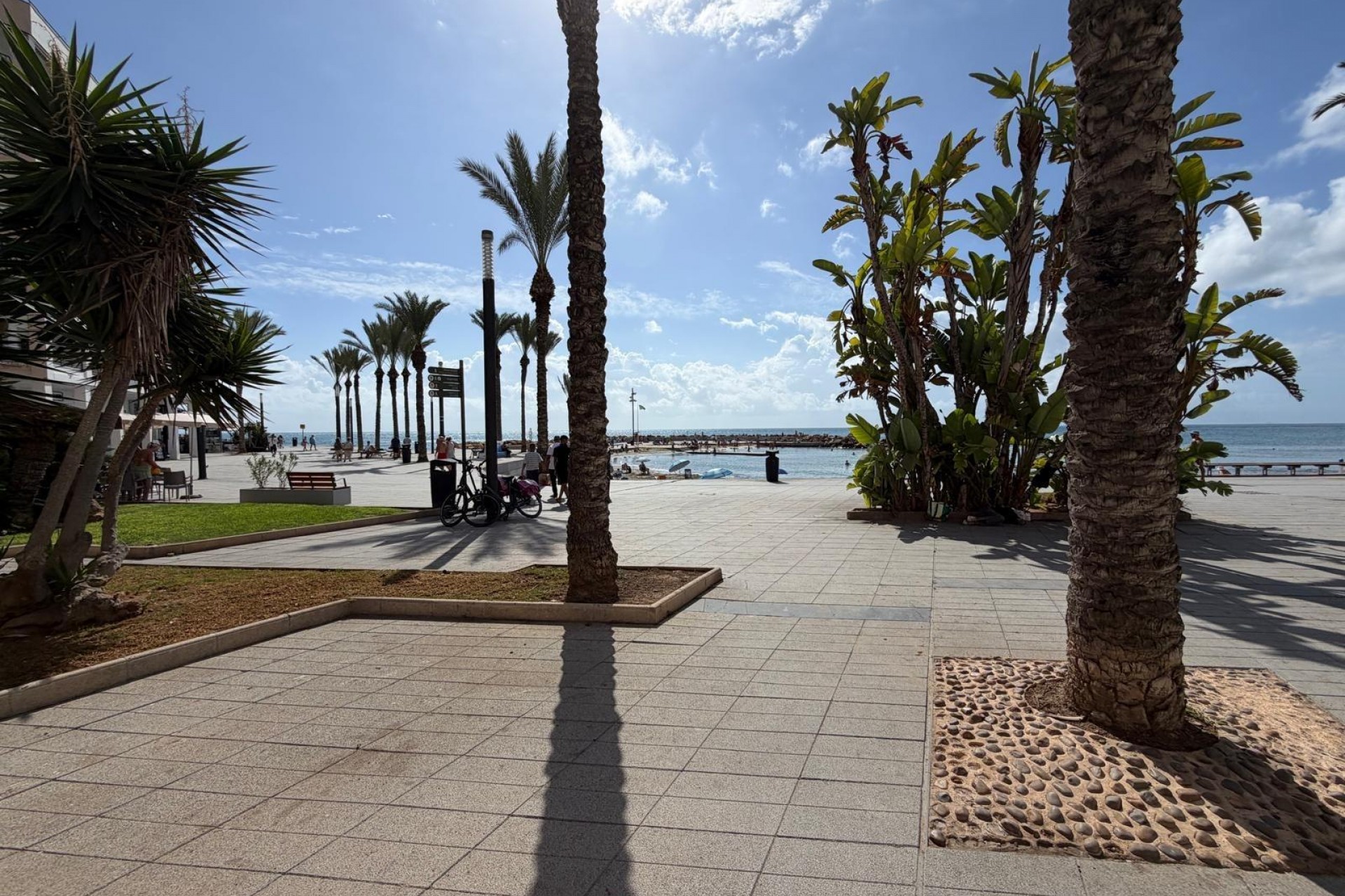 Sale - Apartamento -
Torrevieja - Paseo maritimo