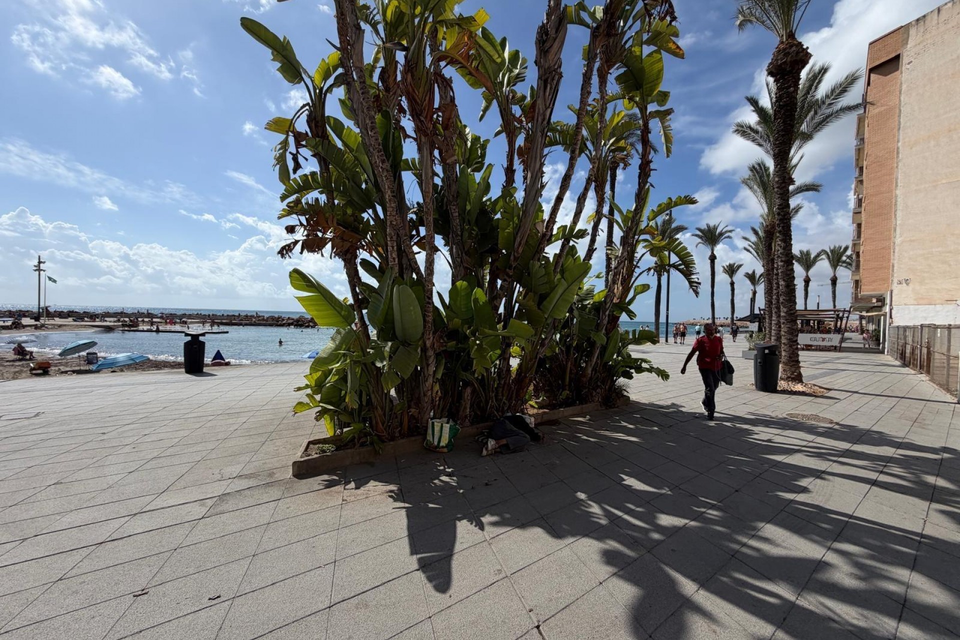 Sale - Apartamento -
Torrevieja - Paseo maritimo