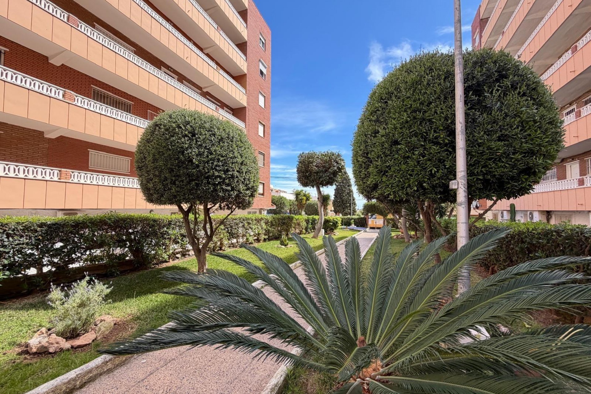 Sale - Apartamento -
Torrevieja - Punta Prima