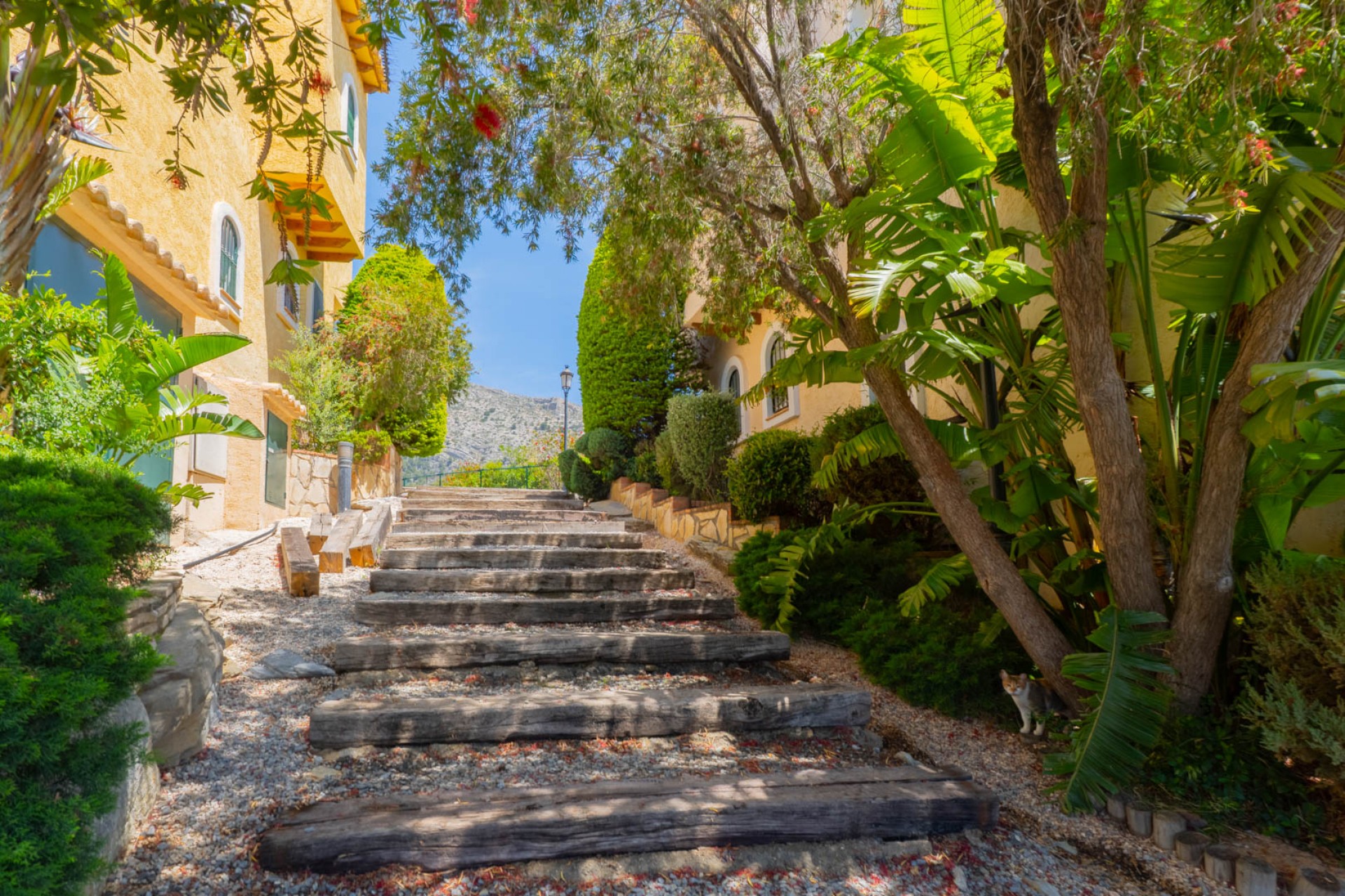 Sale - Apartment -
Altea