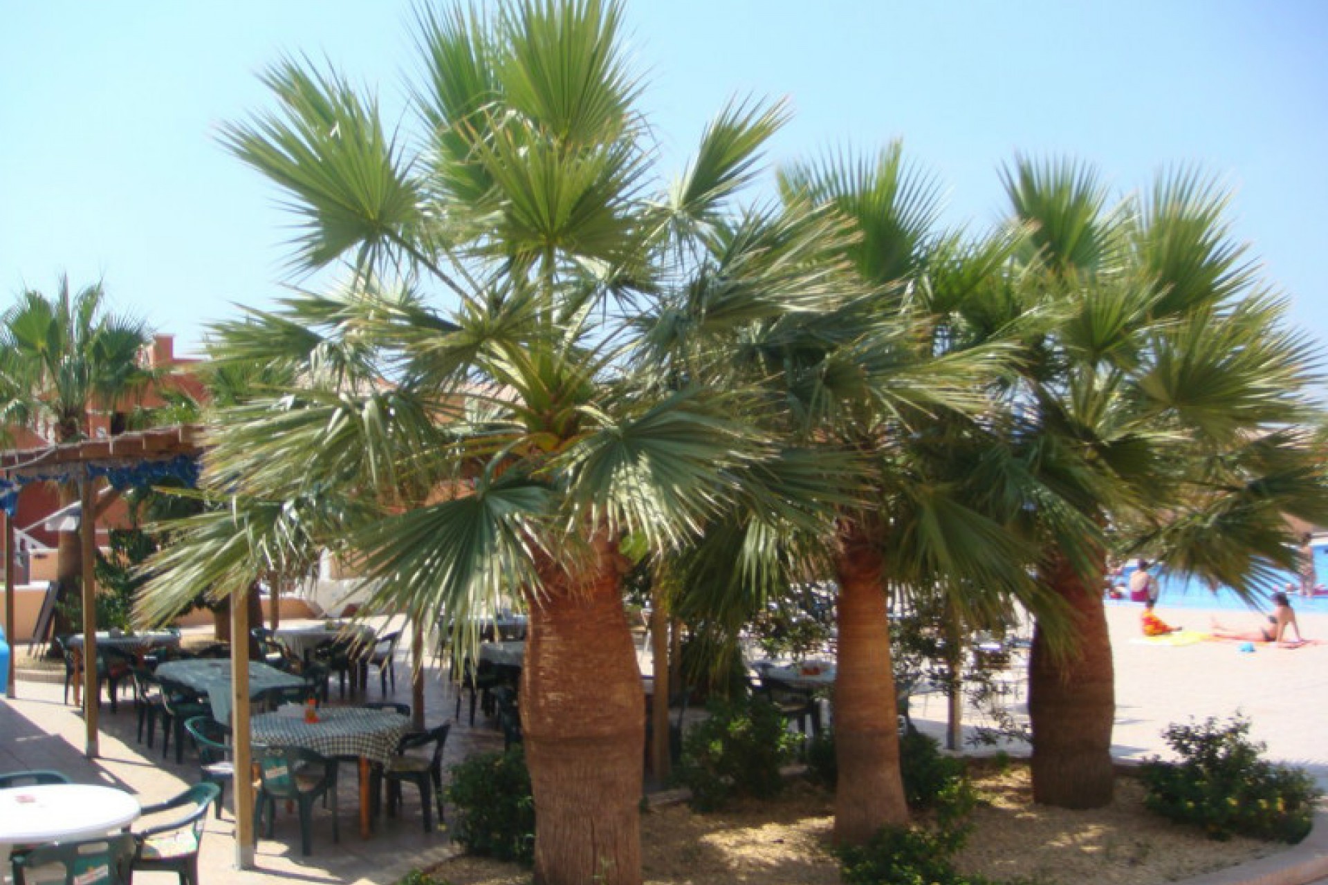 Sale - Apartment -
Benitachell - Cumbre Del Sol