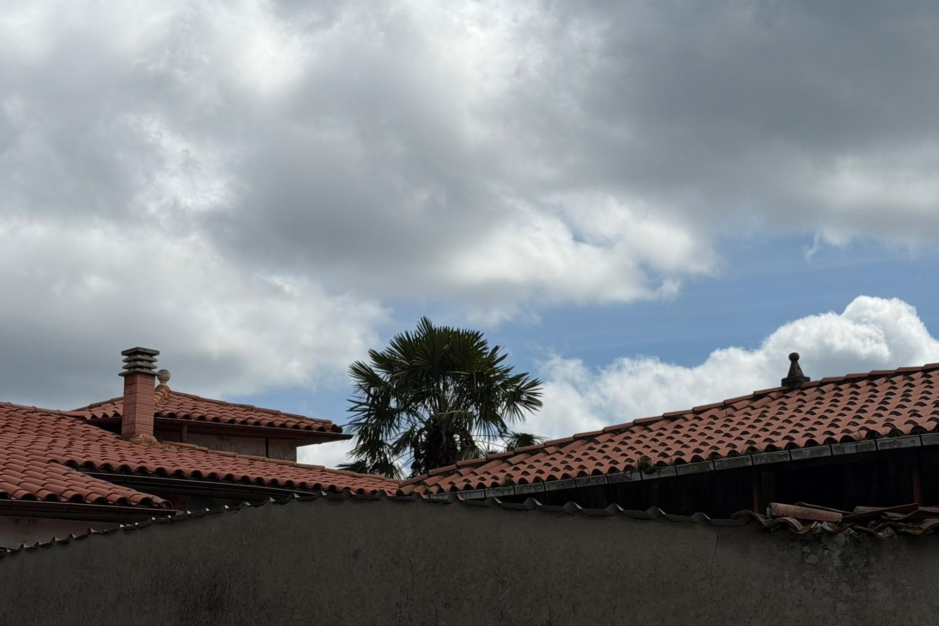 Sale - Casa con terreno -
Salas - Villarin