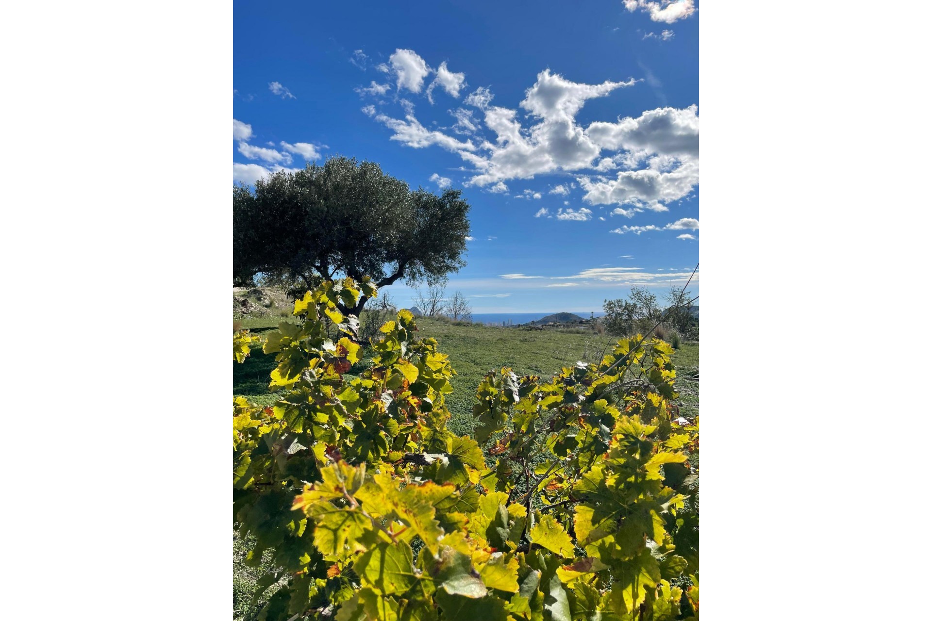 Sale - country_house -
Benissa - Casco Urbano