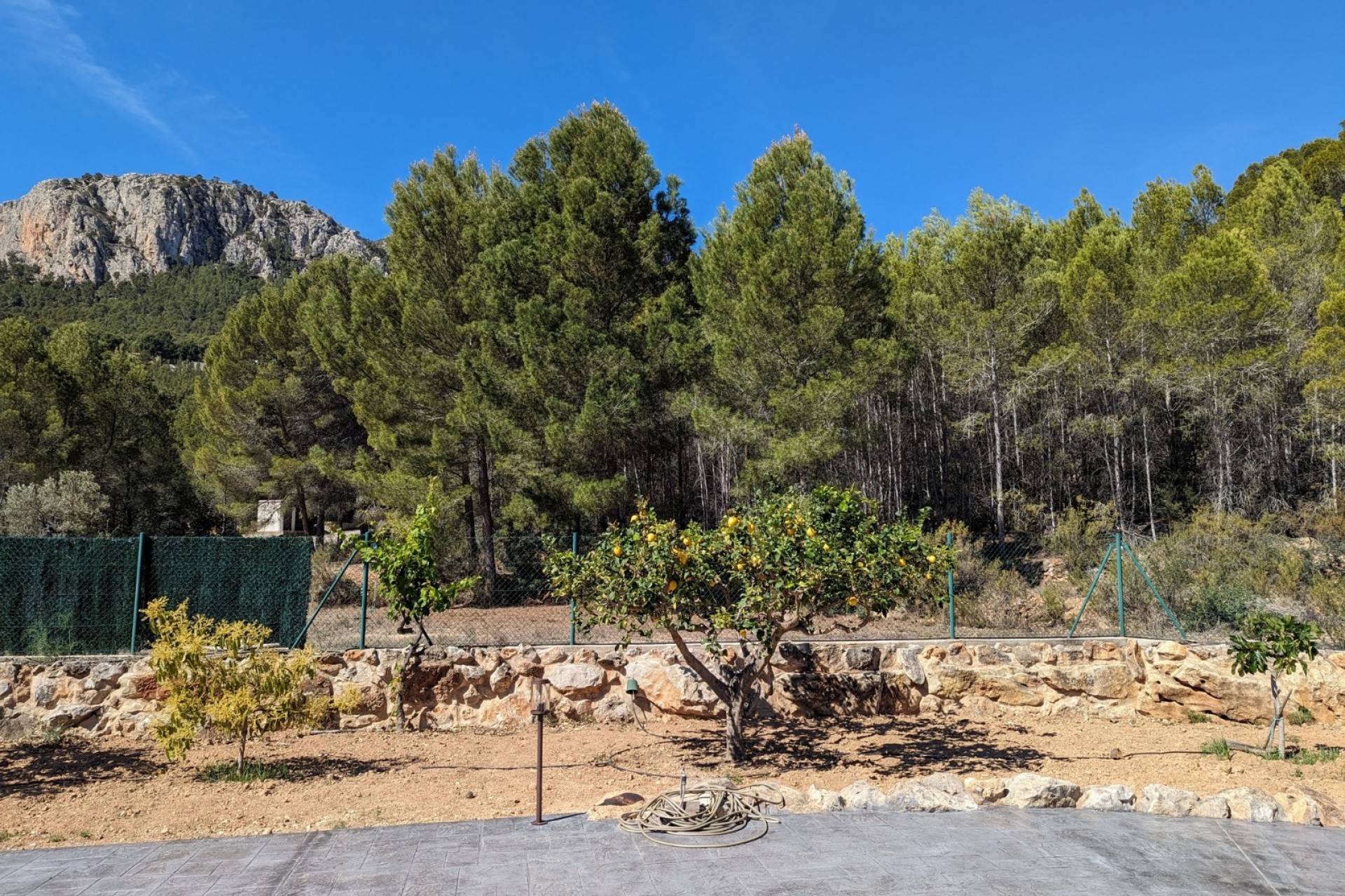 Sale - Finca / Country Property -
Benissa