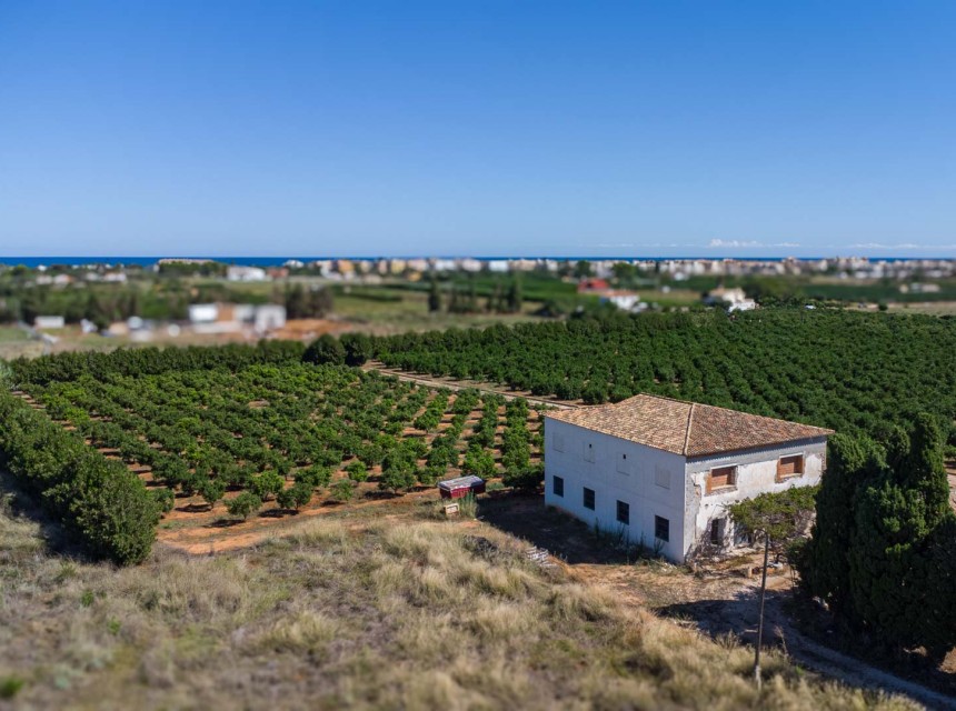 Sale - Finca / Country Property -
Denia
