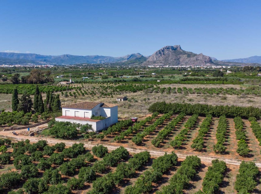 Sale - Finca / Country Property -
Denia
