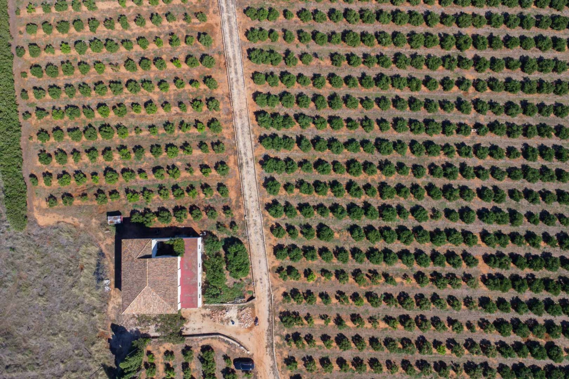 Sale - Finca / Country Property -
Denia
