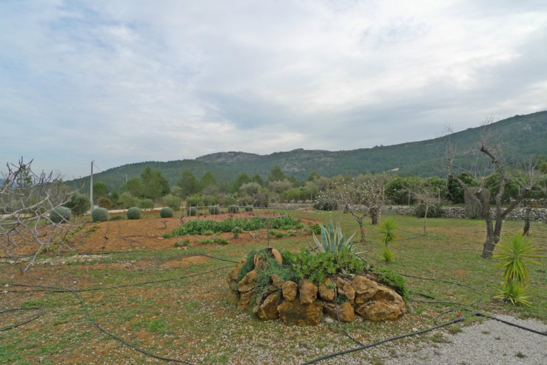 Sale - Finca / Country Property -
Jalon