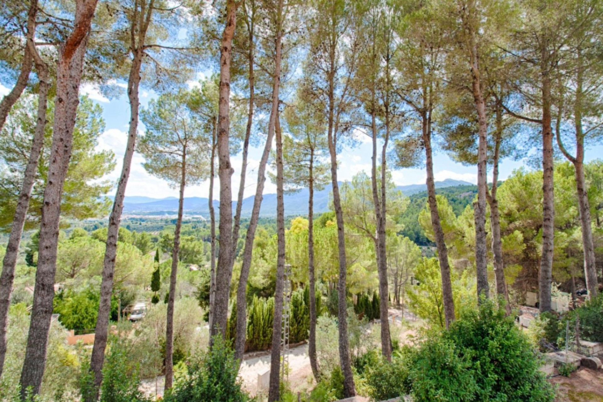 Sale - Finca / Country Property -
Muro d'Alcoi - Turballos